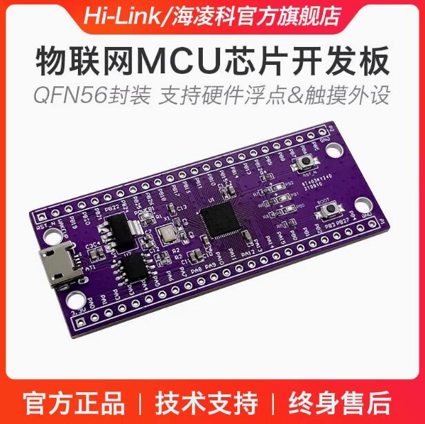 w806单片机开发板 物联网国产平头minimcu芯片板核心哥系统板套件